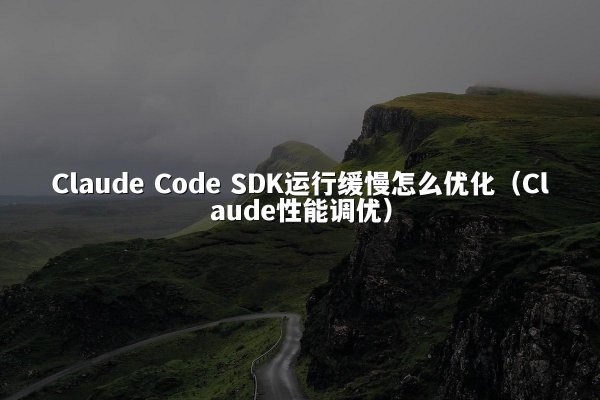 Claude Code SDK运行缓慢怎么优化（Claude性能调优）