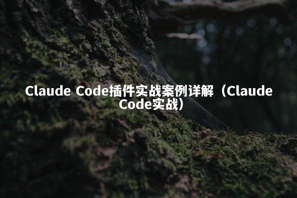 Claude Code插件实战案例详解（Claude Code实战）