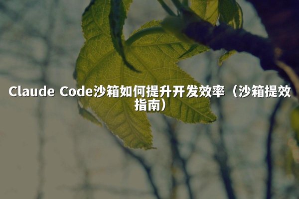 Claude Code沙箱如何提升开发效率（沙箱提效指南）