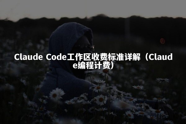 Claude Code工作区收费标准详解（Claude编程计费）