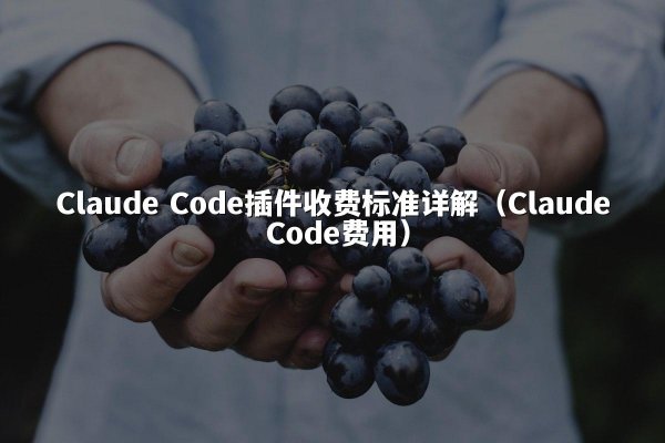 Claude Code插件收费标准详解（Claude Code费用）