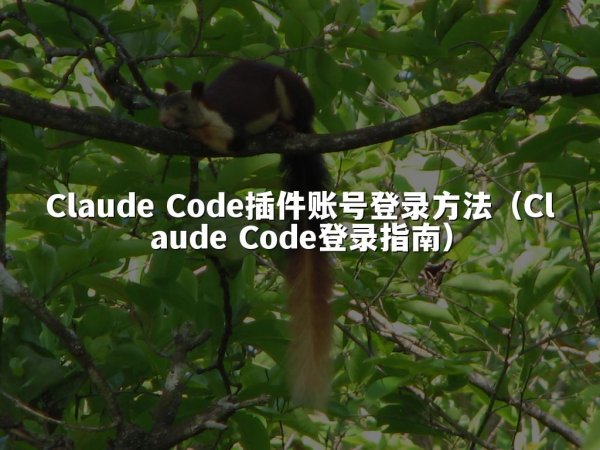 Claude Code插件账号登录方法（Claude Code登录指南）