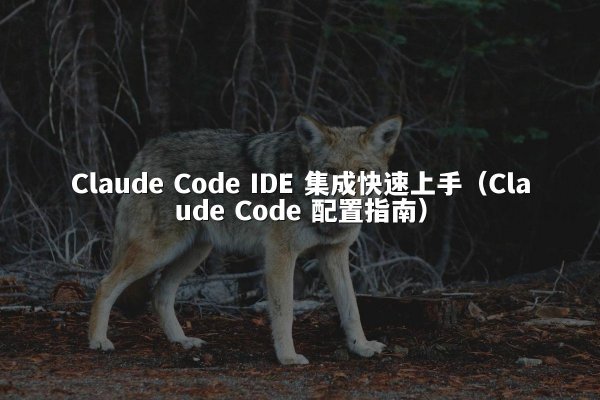 Claude Code IDE 集成快速上手（Claude Code 配置指南）