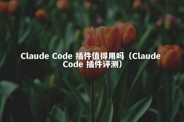 Claude Code 插件值得用吗（Claude Code 插件评测）