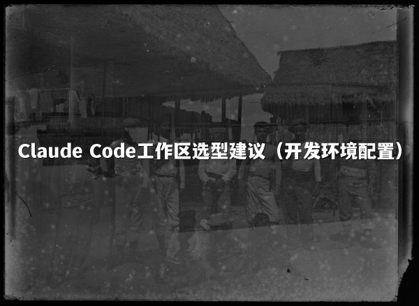 Claude Code工作区选型建议（开发环境配置）