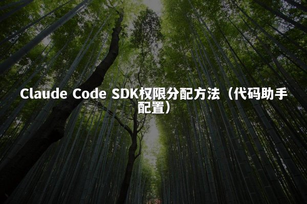 Claude Code SDK权限分配方法（代码助手配置）
