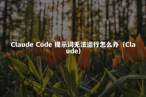 Claude Code 提示词无法运行怎么办（Claude）