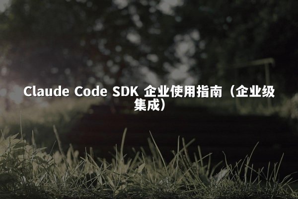 Claude Code SDK 企业使用指南（企业级集成）