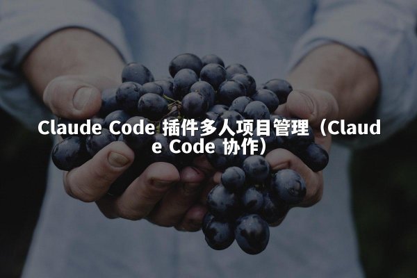 Claude Code 插件多人项目管理（Claude Code 协作）