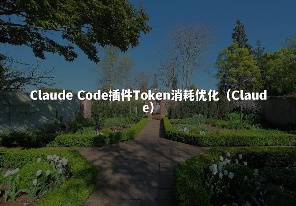Claude Code插件Token消耗优化（Claude）