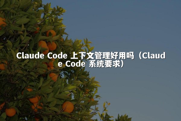 Claude Code 上下文管理好用吗（Claude Code 系统要求）