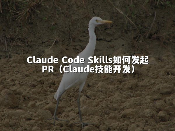 Claude Code Skills如何发起PR（Claude技能开发）