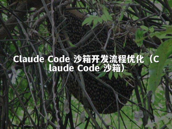 Claude Code 沙箱开发流程优化（Claude Code 沙箱）