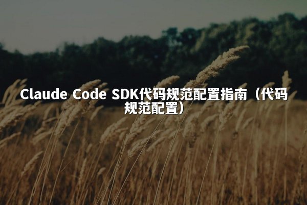 Claude Code SDK代码规范配置指南（代码规范配置）