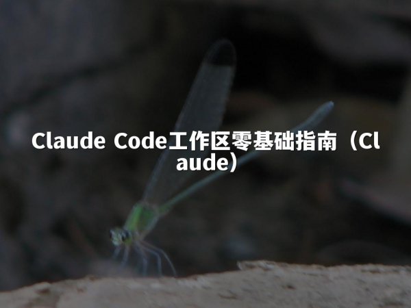Claude Code工作区零基础指南（Claude）