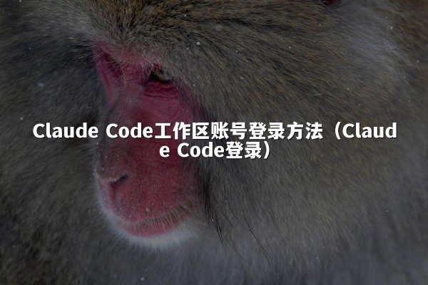 Claude Code工作区账号登录方法（Claude Code登录）