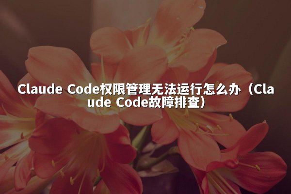 Claude Code权限管理无法运行怎么办（Claude Code故障排查）