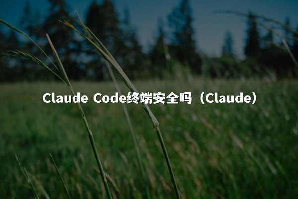 Claude Code终端安全吗（Claude）
