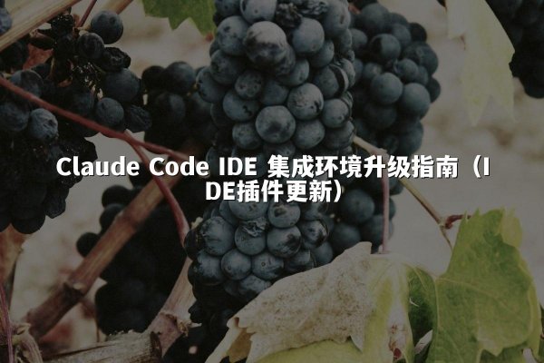 Claude Code IDE 集成环境升级指南（IDE插件更新）