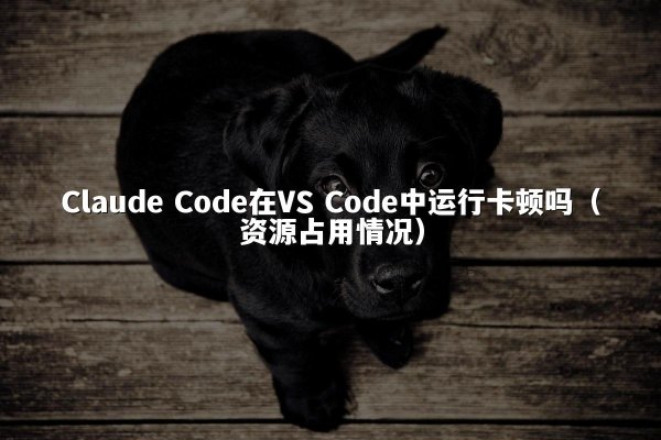 Claude Code在VS Code中运行卡顿吗（资源占用情况）