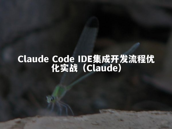Claude Code IDE集成开发流程优化实战（Claude）