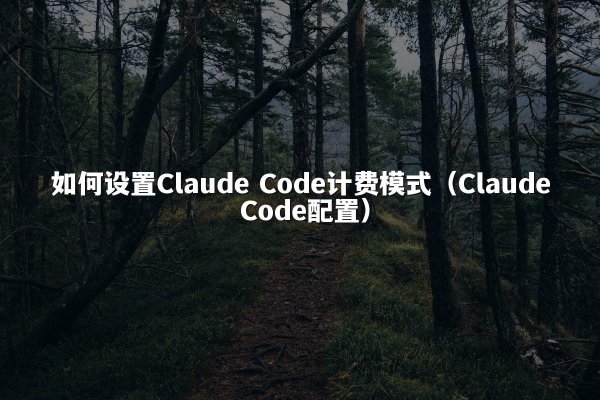 如何设置Claude Code计费模式（Claude Code配置）