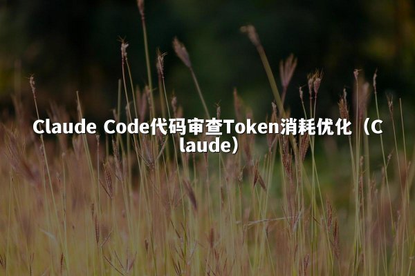 Claude Code代码审查Token消耗优化（Claude）