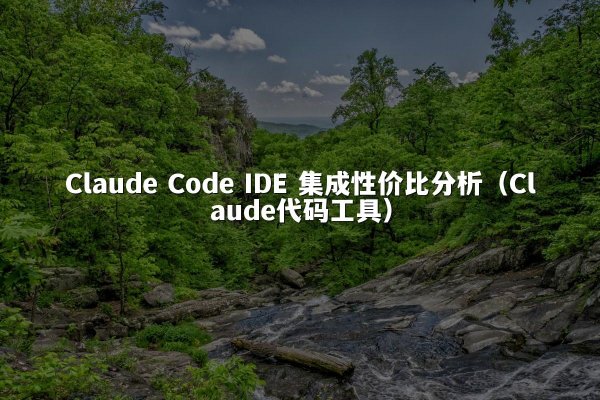 Claude Code IDE 集成性价比分析（Claude代码工具）
