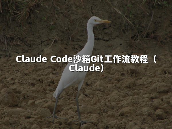 Claude Code沙箱Git工作流教程（Claude）