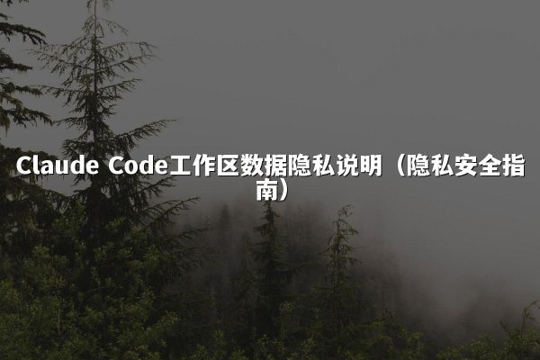 Claude Code工作区数据隐私说明（隐私安全指南）