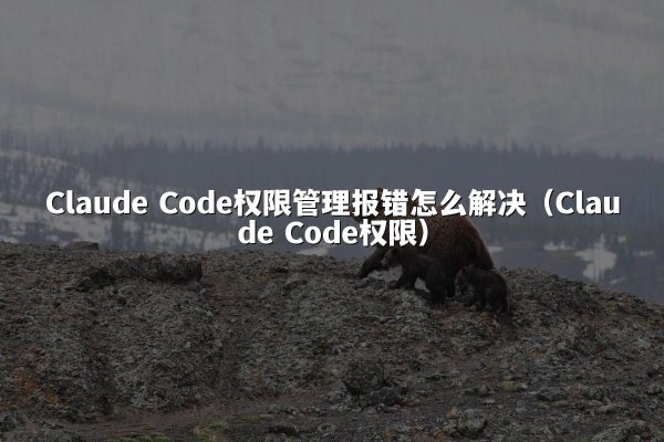 Claude Code权限管理报错怎么解决（Claude Code权限）