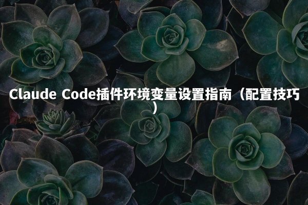 Claude Code插件环境变量设置指南（配置技巧）