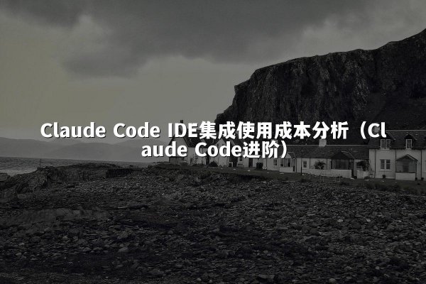 Claude Code IDE集成使用成本分析（Claude Code进阶）
