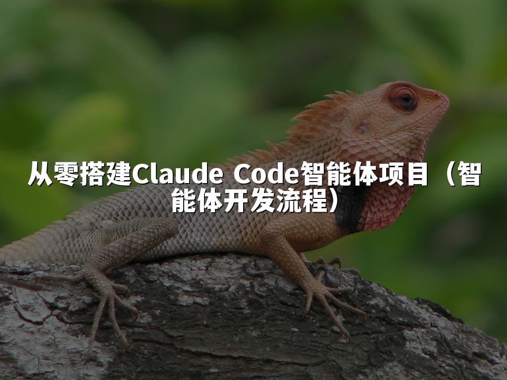从零搭建Claude Code智能体项目(智能体开发流程)