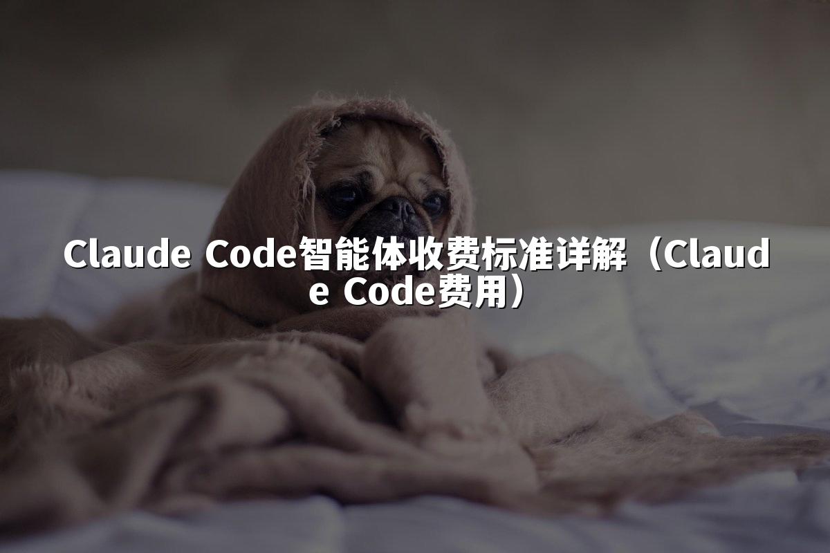 Claude Code智能体收费标准详解（Claude Code费用）