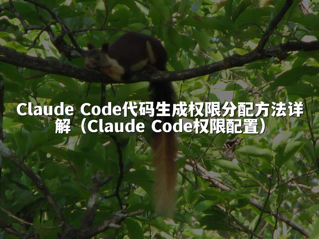 Claude Code代码生成权限分配方法详解（Claude Code权限配置）