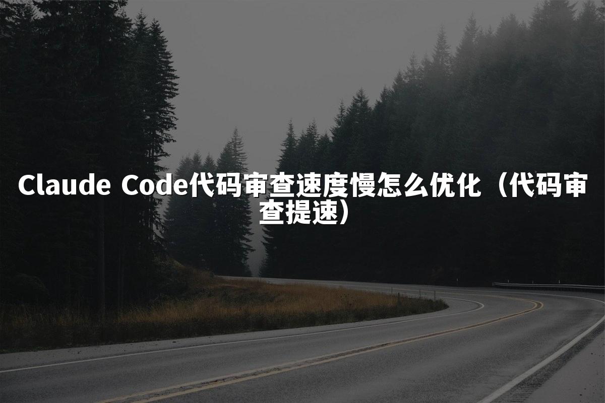 Claude Code代码审查速度慢怎么优化(代码审查提速)