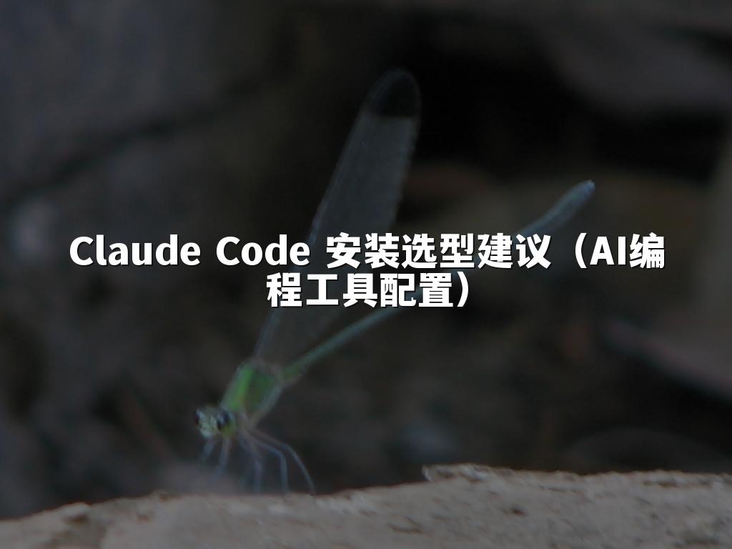 Claude Code 安装选型建议(AI编程工具配置)