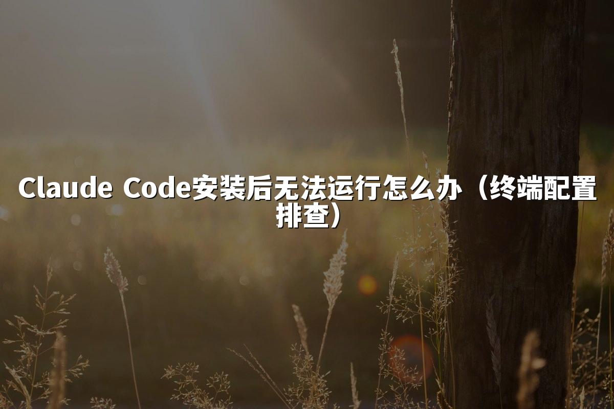 Claude Code安装后无法运行怎么办(终端配置排查)