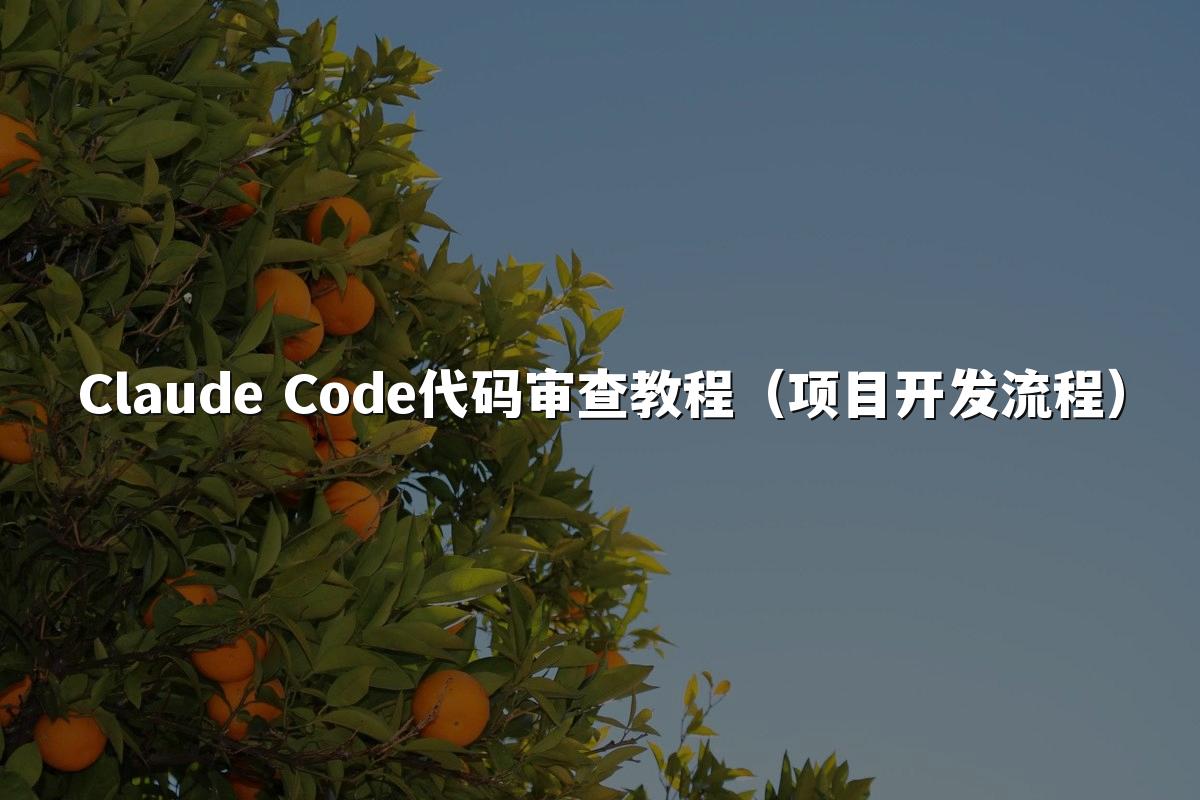 Claude Code代码审查教程（项目开发流程）
