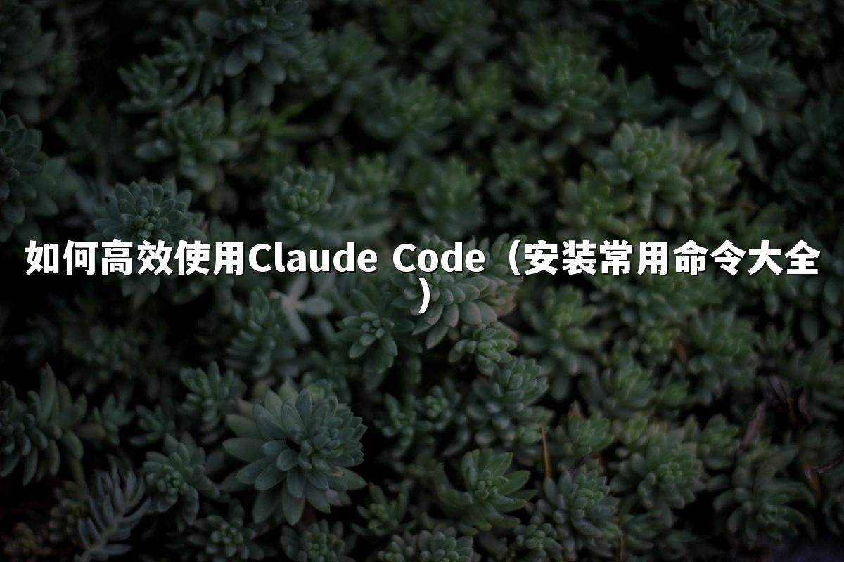 如何高效使用Claude Code(安装常用命令大全)