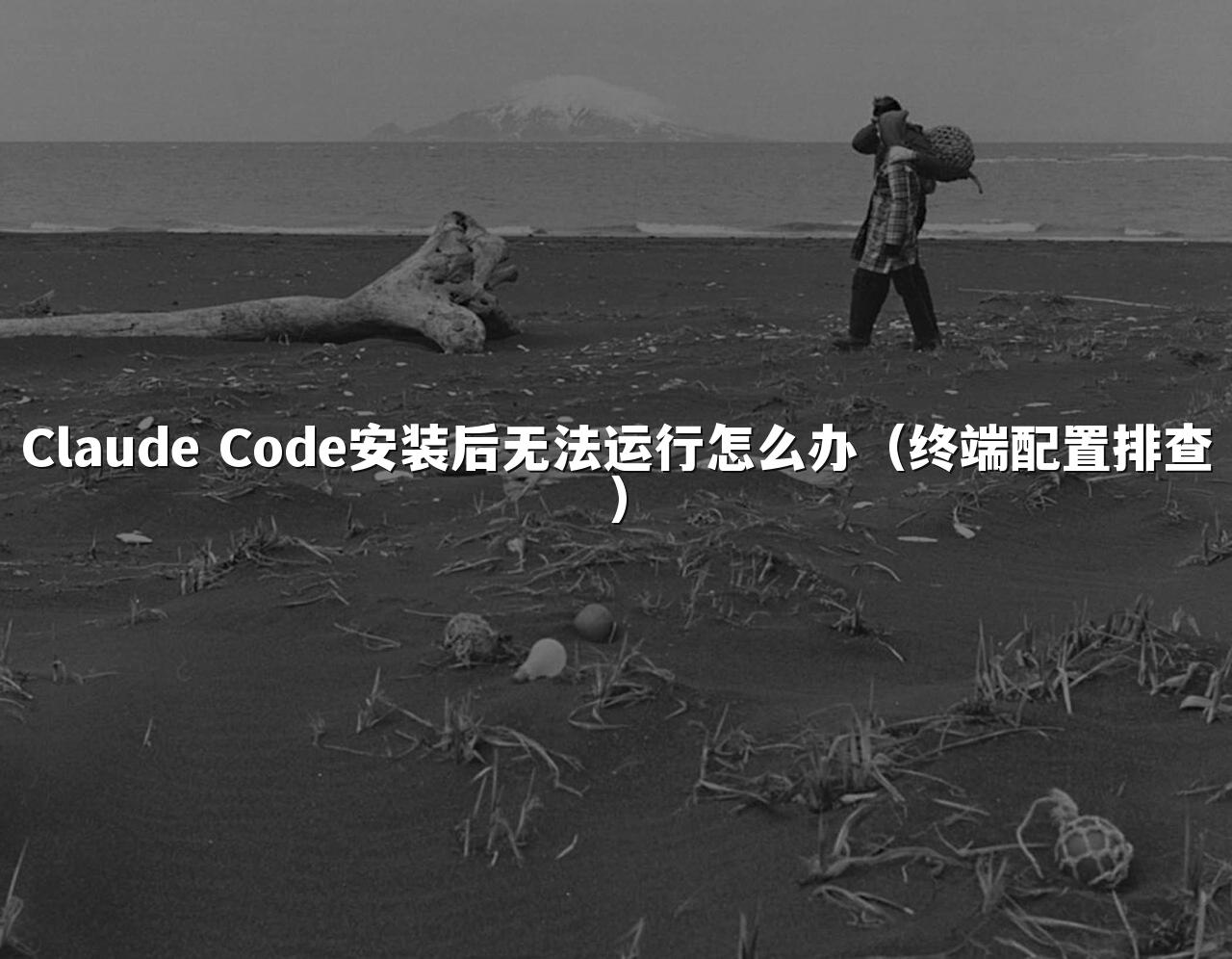 Claude Code安装后无法运行怎么办(终端配置排查)