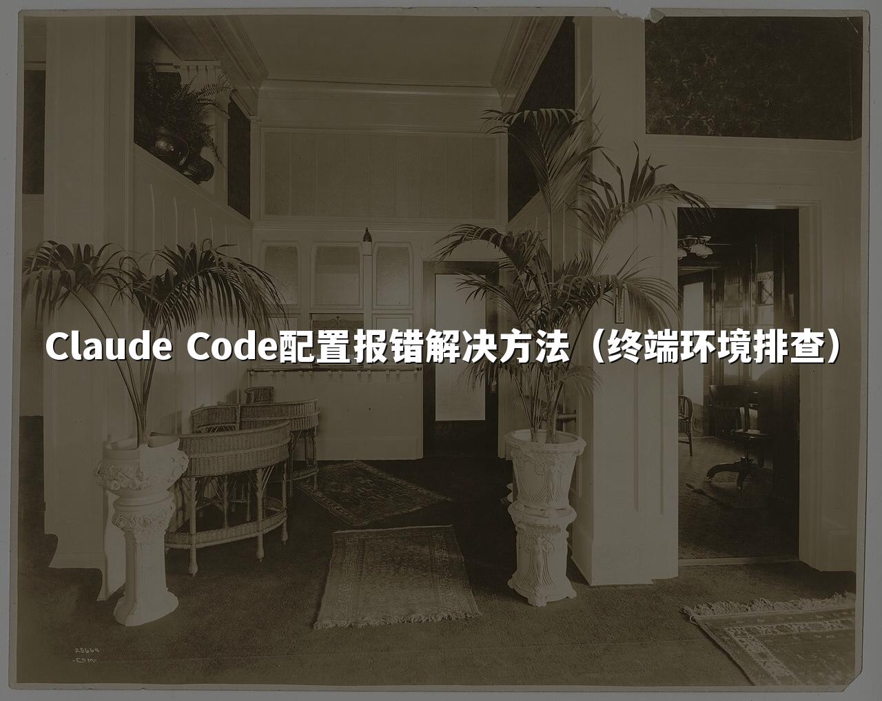 Claude Code配置报错解决方法（终端环境排查）