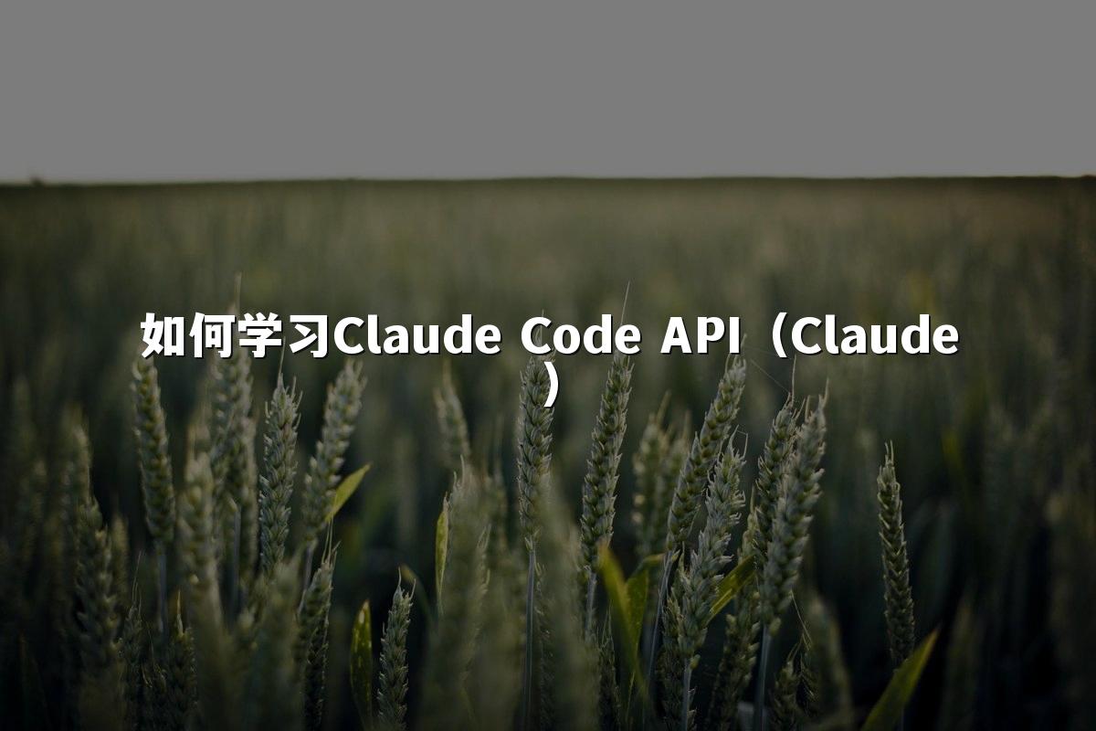 如何学习Claude Code API（Claude）
