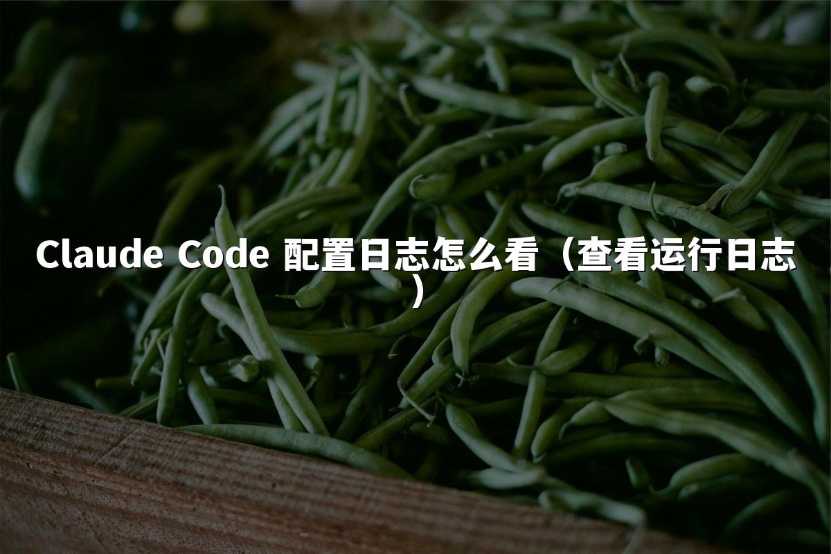 Claude Code 配置日志怎么看(查看运行日志)