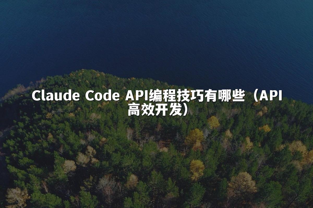 Claude Code API编程技巧有哪些（API高效开发）