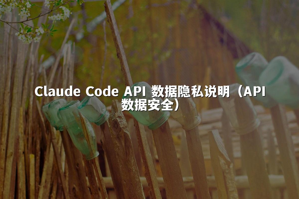 Claude Code API 数据隐私说明（API数据安全）