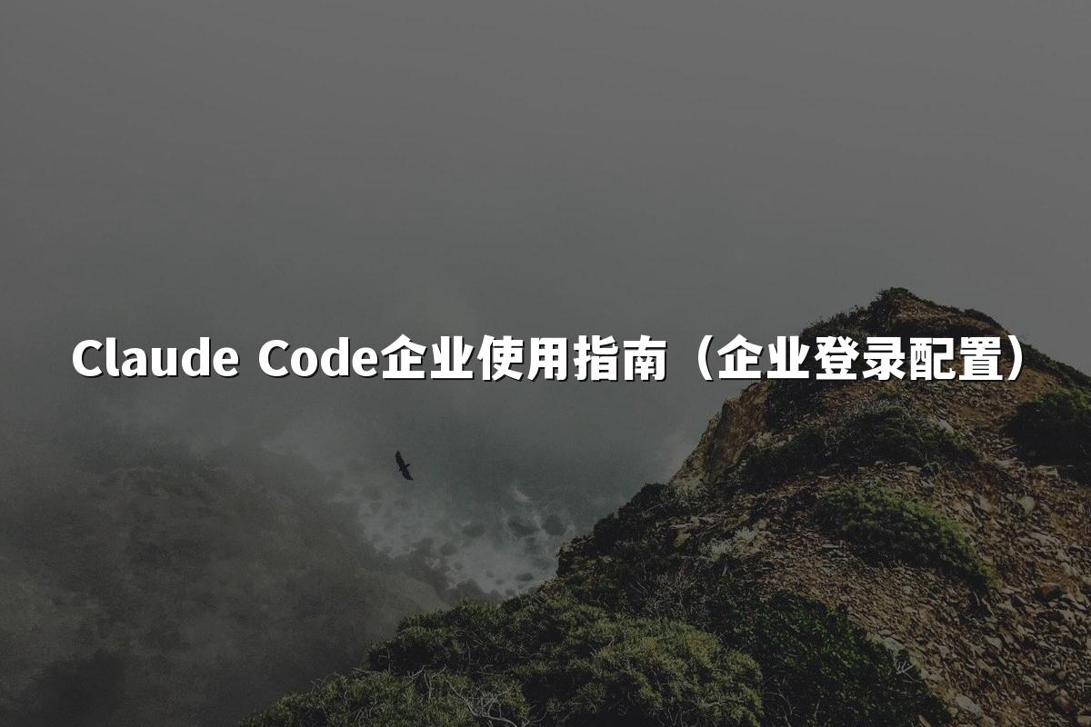 Claude Code企业使用指南（企业登录配置）