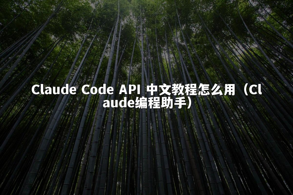 Claude Code API 中文教程怎么用（Claude编程助手）