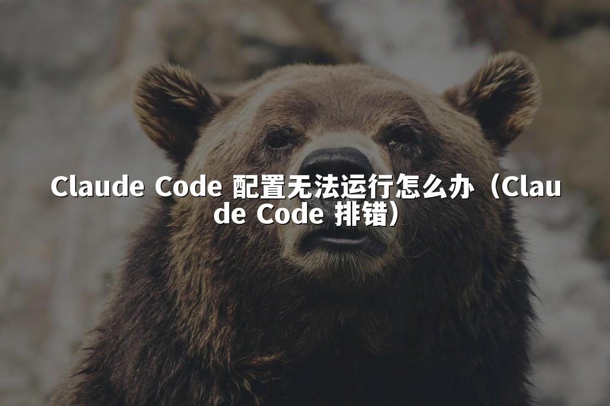 Claude Code 配置无法运行怎么办（Claude Code 排错）